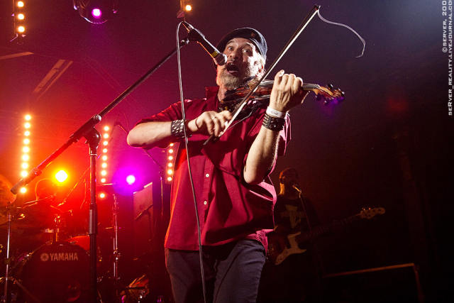 Gogol Bordello
